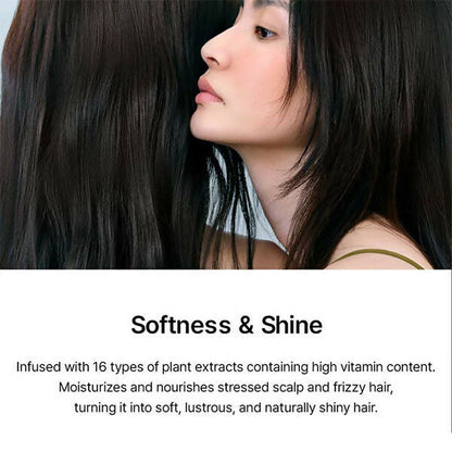 https://cdn.shopify.com/s/files/1/1857/6931/files/hQQcNvOVgH.jpg?v=1731568002