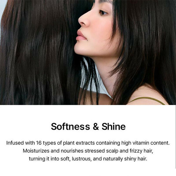https://cdn.shopify.com/s/files/1/1857/6931/files/hQQcNvOVgH.jpg?v=1731568002