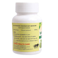 https://cdn.shopify.com/s/files/1/1857/6931/products/hQWRBwdFLz.jpg?v=1647847462