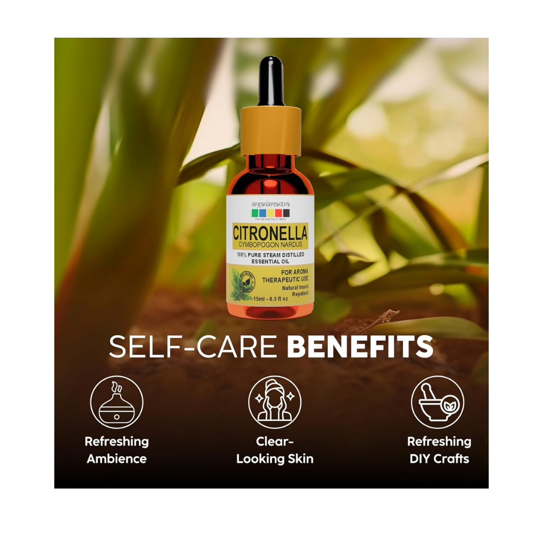 https://cdn.shopify.com/s/files/1/1857/6931/files/hSlnyteHor.png?v=1723122137