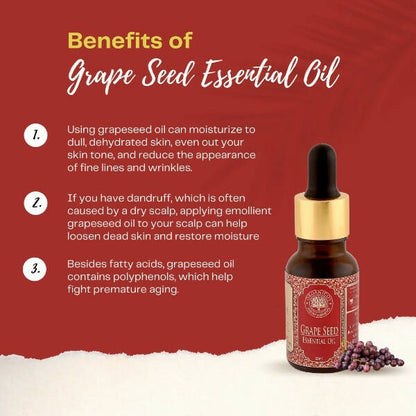 https://cdn.shopify.com/s/files/1/1857/6931/products/hWYGzK8NzD.jpg?v=1663827455