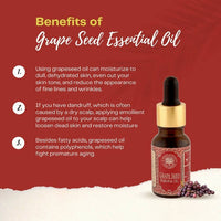https://cdn.shopify.com/s/files/1/1857/6931/products/hWYGzK8NzD.jpg?v=1663827455