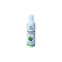 https://cdn.shopify.com/s/files/1/1857/6931/products/hXCdRCKYvL.jpg?v=1670655137