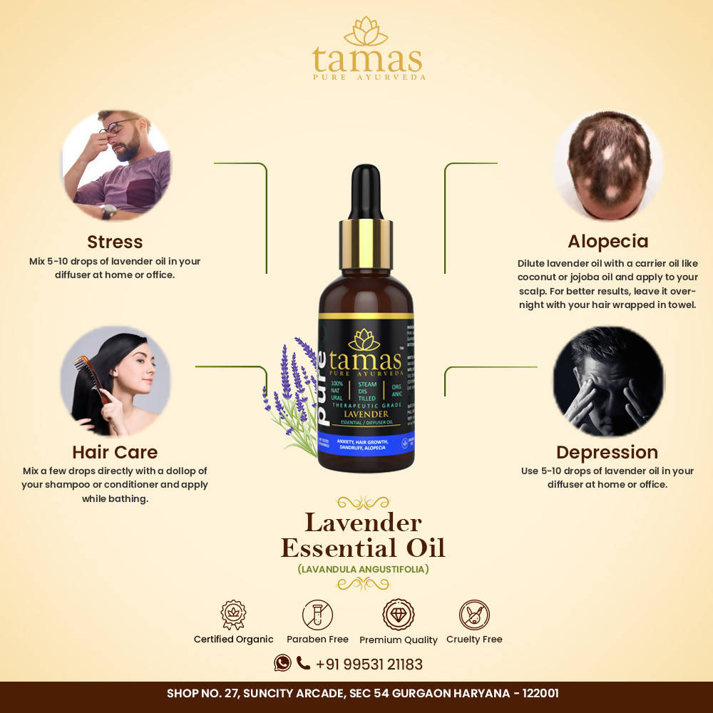 https://cdn.shopify.com/s/files/1/1857/6931/products/hYxxXZcLM3.jpg?v=1626402538