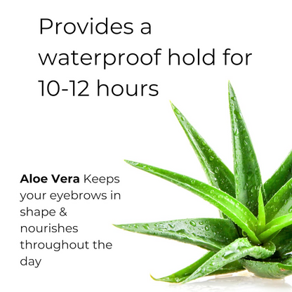https://cdn.shopify.com/s/files/1/1857/6931/files/hZ3hF2lTKw.png?v=1728537546