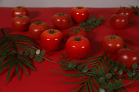 https://cdn.shopify.com/s/files/1/1857/6931/products/hZIStLD8OS.jpg?v=1698304295