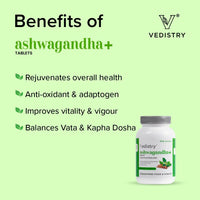 https://cdn.shopify.com/s/files/1/1857/6931/products/ha8JltAjTT.jpg?v=1683724466