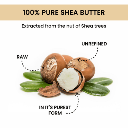 https://cdn.shopify.com/s/files/1/1857/6931/files/hdQaiXjiZ6-506656.png?v=1736146681