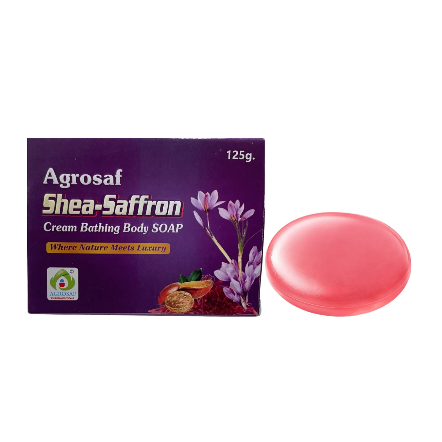 https://cdn.shopify.com/s/files/1/1857/6931/files/hgG0TPTFsj.png?v=1784011725
