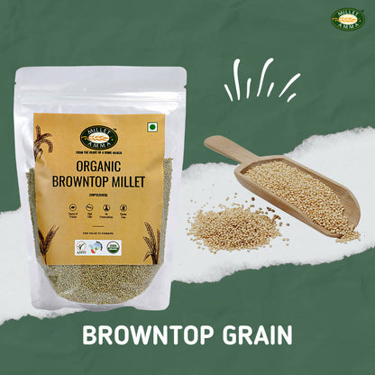 https://cdn.shopify.com/s/files/1/1857/6931/products/hh3AaVnt4D.jpg?v=1674884729