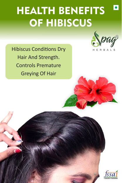 https://cdn.shopify.com/s/files/1/1857/6931/products/hibiscus1.jpg?v=1681992131