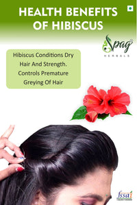 https://cdn.shopify.com/s/files/1/1857/6931/products/hibiscus1.jpg?v=1681992131