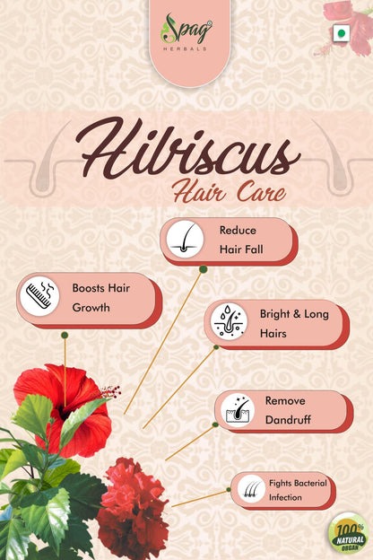 https://cdn.shopify.com/s/files/1/1857/6931/products/hibiscus4.jpg?v=1681992130