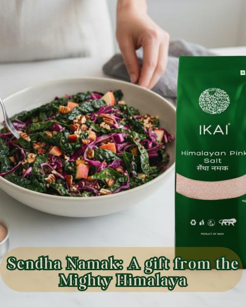 https://cdn.shopify.com/s/files/1/1857/6931/files/himalayan_pink_salt_2.jpg?v=1769499856