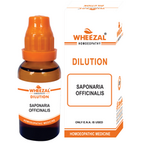 https://cdn.shopify.com/s/files/1/1857/6931/files/hiskb40ZTW.png?v=1729583124