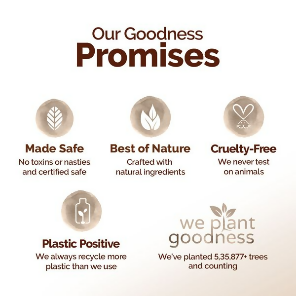 https://cdn.shopify.com/s/files/1/1857/6931/files/hj17w7VFEN.png?v=1729670977