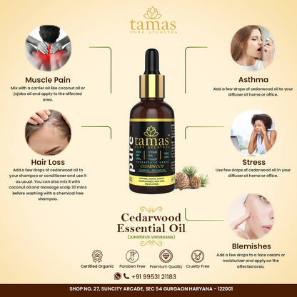 https://cdn.shopify.com/s/files/1/1857/6931/products/hjsQUZyYd8.jpg?v=1626402538