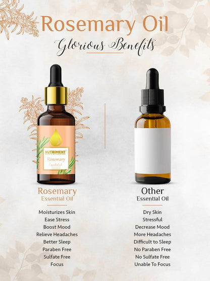 https://cdn.shopify.com/s/files/1/1857/6931/products/hlFrqDtqML.jpg?v=1683009146