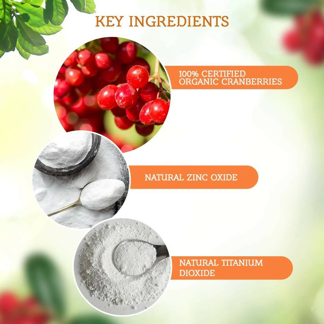 https://cdn.shopify.com/s/files/1/1857/6931/products/hmQnIwlG8L.jpg?v=1697183684