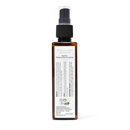 https://cdn.shopify.com/s/files/1/1857/6931/products/hmSbb9MFyD.jpg?v=1670652555