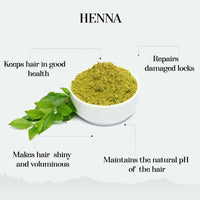 https://cdn.shopify.com/s/files/1/1857/6931/files/hnPTlvWqHM-591334.jpg?v=1736146686