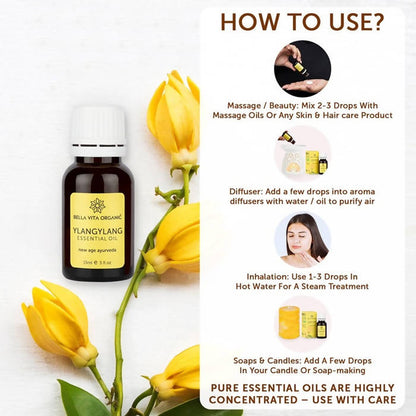 https://cdn.shopify.com/s/files/1/1857/6931/products/hwcqTvjKOW.jpg?v=1625797834