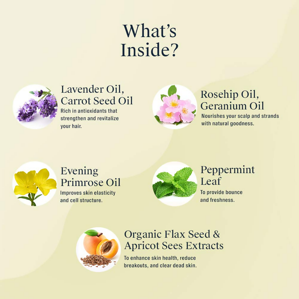 https://cdn.shopify.com/s/files/1/1857/6931/files/hwl0wwT1Iw.png?v=1758623410