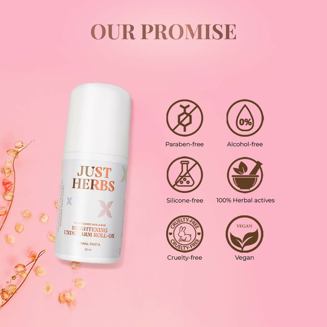 https://cdn.shopify.com/s/files/1/1857/6931/files/hyEcZtKwTQ.jpg?v=1729254253
