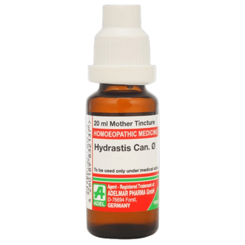 https://cdn.shopify.com/s/files/1/1857/6931/files/hydrastis_can-removebg-preview-643751.png?v=1736143319