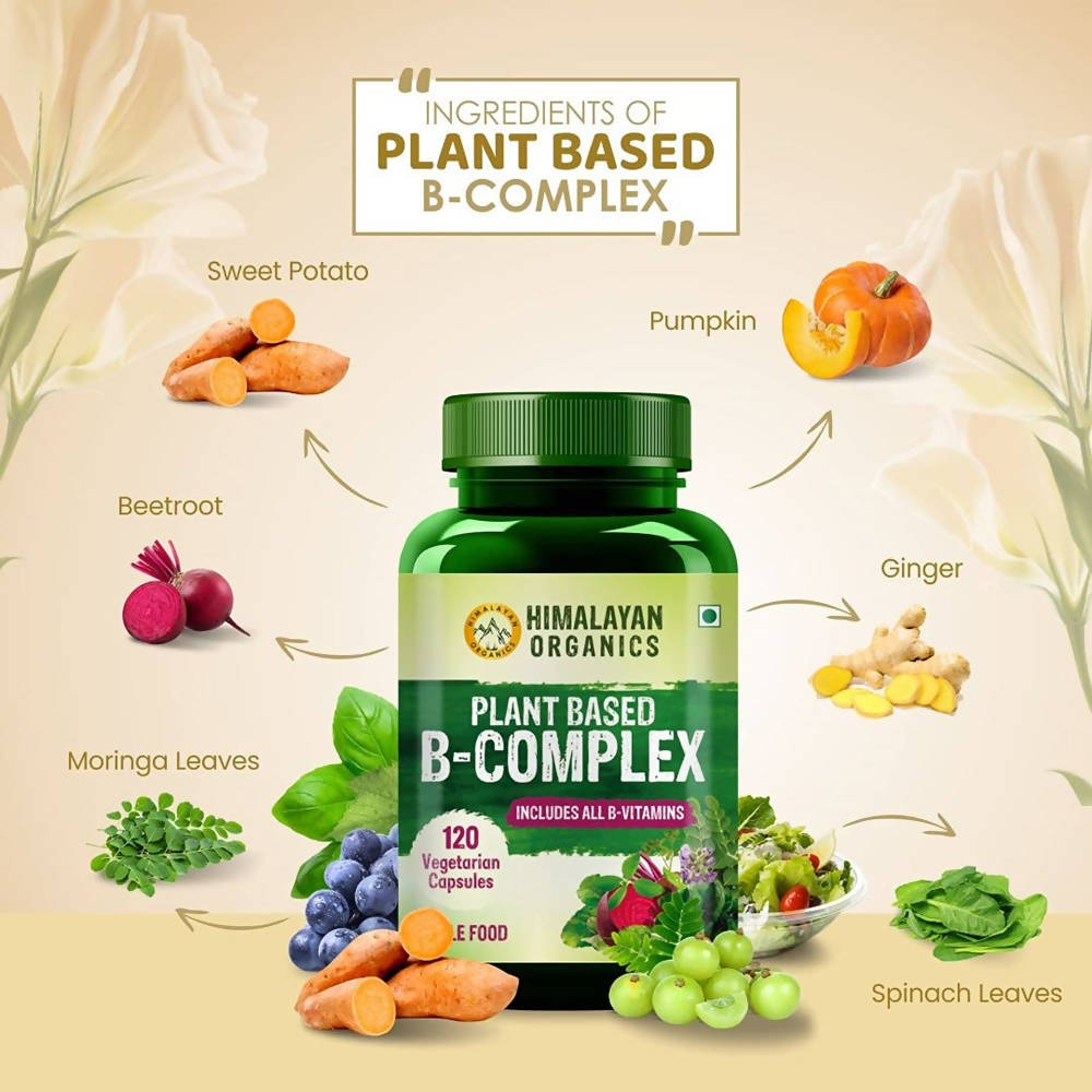 https://cdn.shopify.com/s/files/1/1857/6931/products/hzTq9mVzmn.jpg?v=1718274278