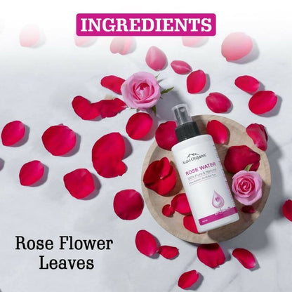 https://cdn.shopify.com/s/files/1/1857/6931/files/i1sZbujhbw-518245.jpg?v=1736149161