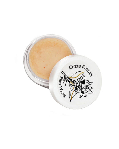 https://cdn.shopify.com/s/files/1/1857/6931/products/i2gLTaMGdo.jpg?v=1616120907