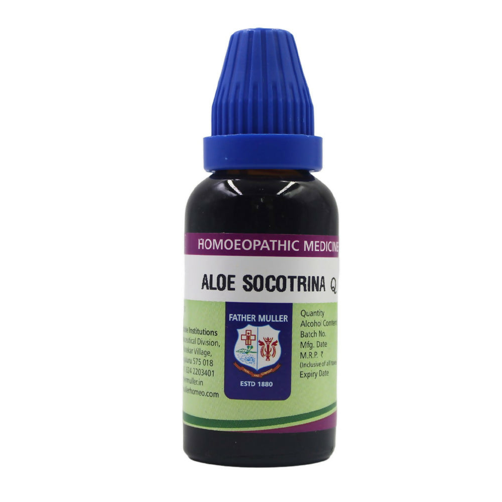 https://cdn.shopify.com/s/files/1/1857/6931/files/i48iXKSws7.jpg?v=1718168936