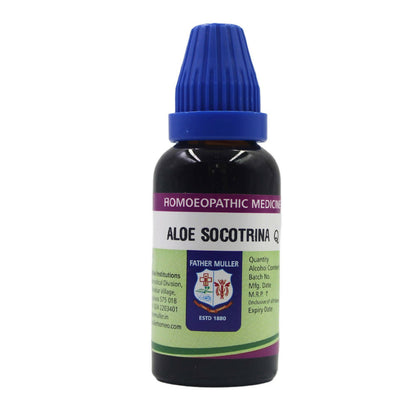 https://cdn.shopify.com/s/files/1/1857/6931/files/i48iXKSws7.jpg?v=1718168936