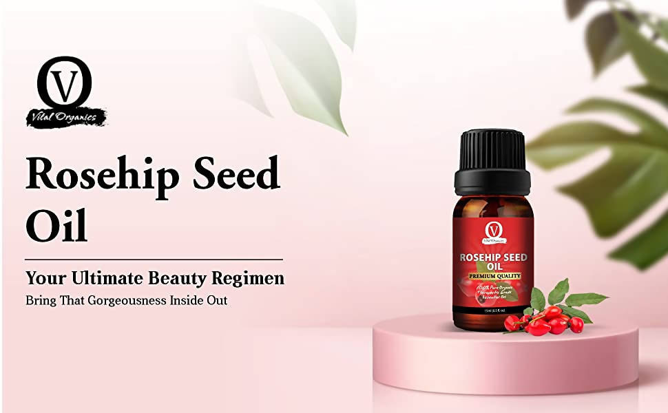 https://cdn.shopify.com/s/files/1/1857/6931/products/i5x4qt0rnA.jpg?v=1643017021