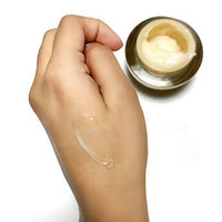 https://cdn.shopify.com/s/files/1/1857/6931/products/i7Kb8sKC7B.jpg?v=1662197425