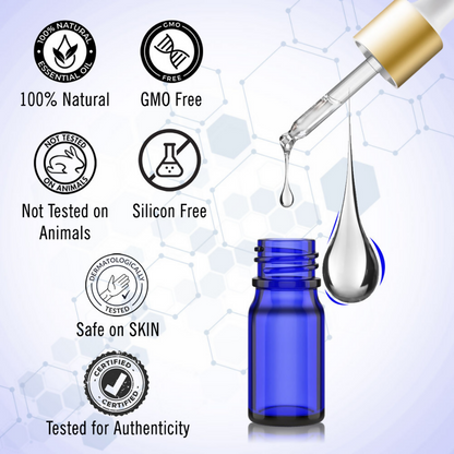https://cdn.shopify.com/s/files/1/1857/6931/files/iFY8jrKFr9.png?v=1725883282