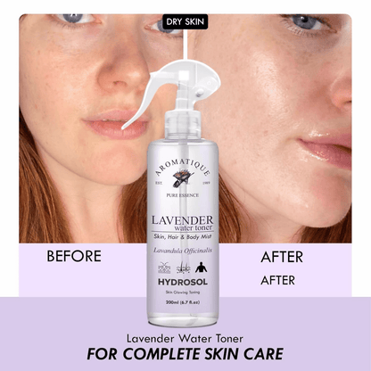 https://cdn.shopify.com/s/files/1/1857/6931/files/iJnYagtf8v-669905.png?v=1736149328