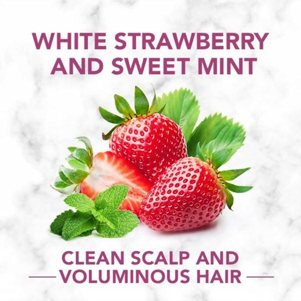 https://cdn.shopify.com/s/files/1/1857/6931/products/iNL8EpWlVV.jpg?v=1625556448