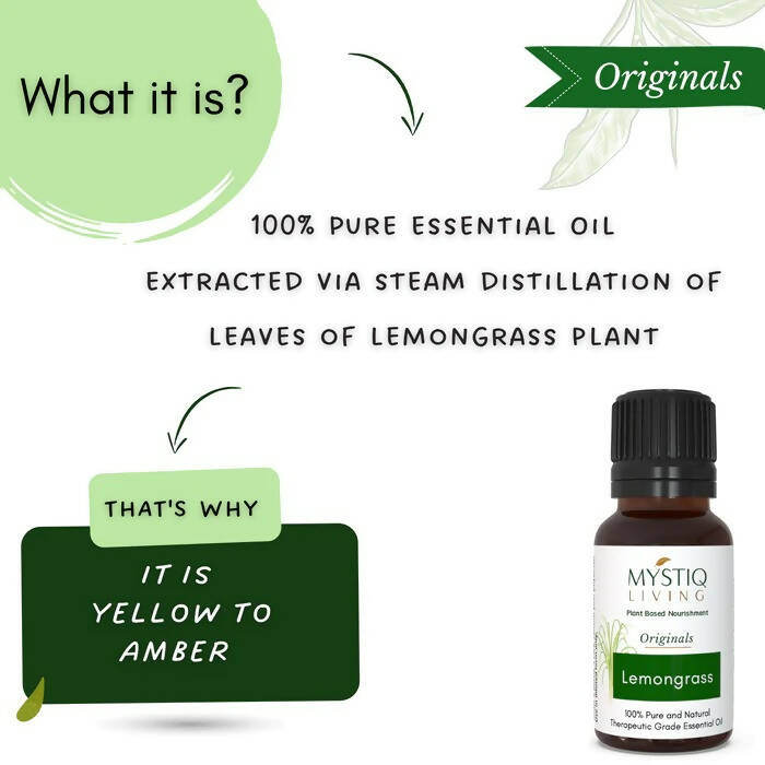 https://cdn.shopify.com/s/files/1/1857/6931/products/iOBD5LVDis.jpg?v=1664429874