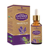 https://cdn.shopify.com/s/files/1/1857/6931/products/iPVtuuVM2J.jpg?v=1762336526
