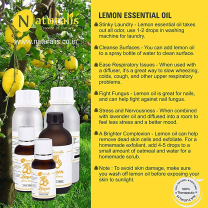 https://cdn.shopify.com/s/files/1/1857/6931/products/iPtOAMwDeS.jpg?v=1623493991
