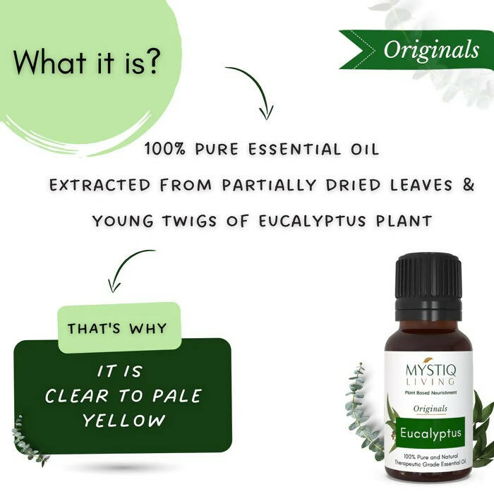 https://cdn.shopify.com/s/files/1/1857/6931/products/iTPjmVkbRS.jpg?v=1664430183