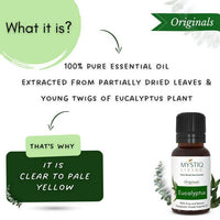 https://cdn.shopify.com/s/files/1/1857/6931/products/iTPjmVkbRS.jpg?v=1664430183