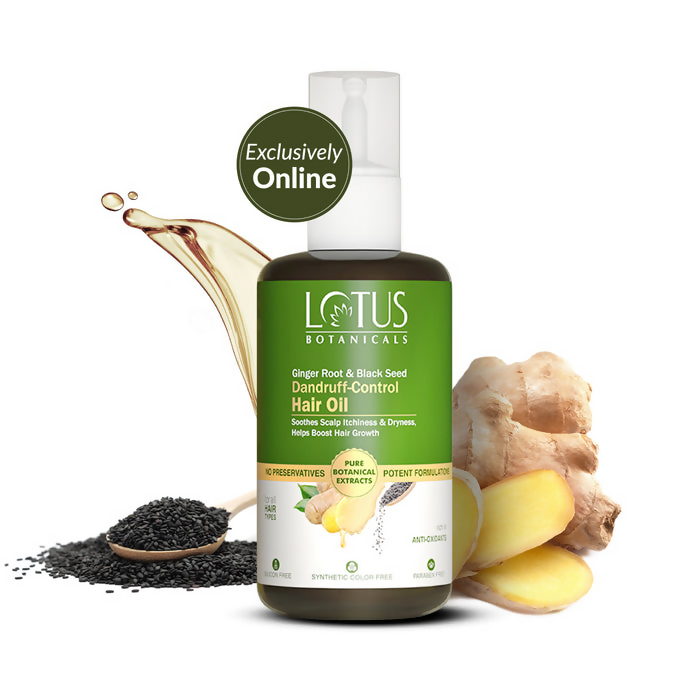 https://cdn.shopify.com/s/files/1/1857/6931/files/iVhCZXrFcs.png?v=1736426119