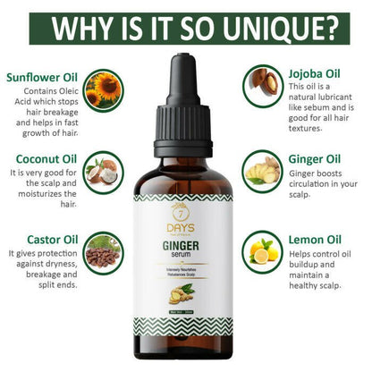 https://cdn.shopify.com/s/files/1/1857/6931/files/iWi96zs5Cc-935425.jpg?v=1736140070