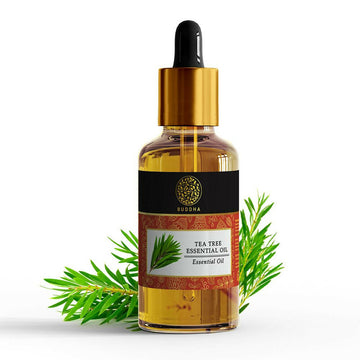 https://cdn.shopify.com/s/files/1/1857/6931/products/iYoj4MR8qp.jpg?v=1762414726