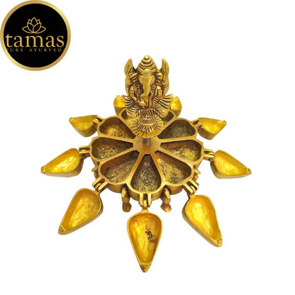 https://cdn.shopify.com/s/files/1/1857/6931/products/iZ4bBrtHwQ.jpg?v=1683279806