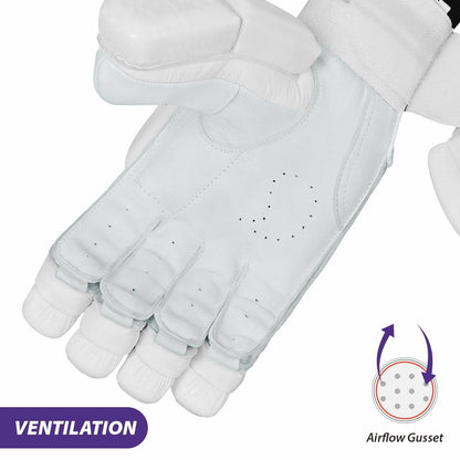 https://cdn.shopify.com/s/files/1/1857/6931/products/iZR7CWnSs8.jpg?v=1710855700