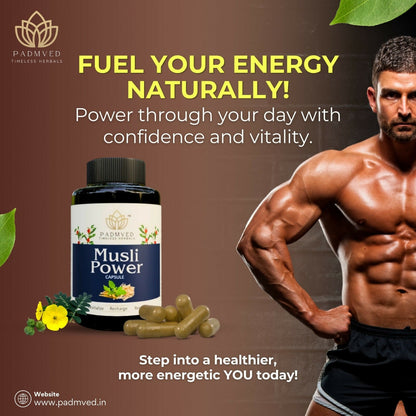 https://cdn.shopify.com/s/files/1/1857/6931/files/ibPLWgmRor.jpg?v=1740033470
